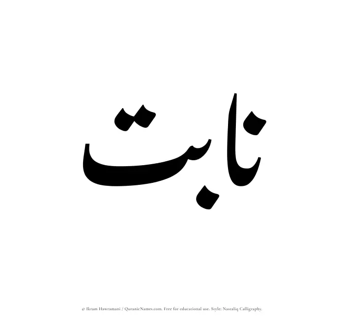 The Muslim name word Nabit written in Nastaliq calligraphic script