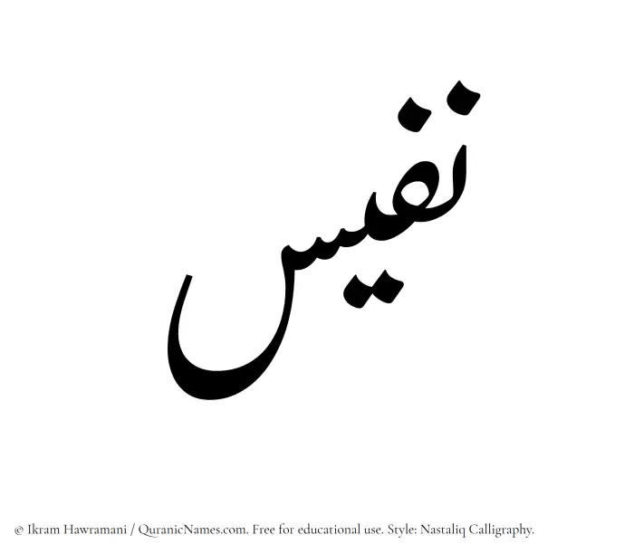 The Muslim name word Nafees written in Nastaliq calligraphic script