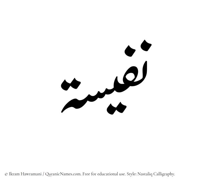 The Muslim name word Nafeesa written in Nastaliq calligraphic script