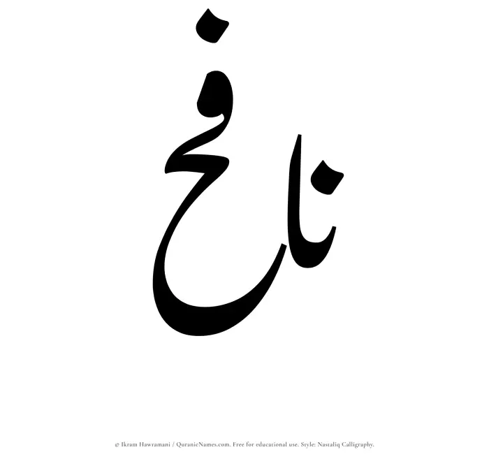 The Muslim name word Nafih written in Nastaliq calligraphic script