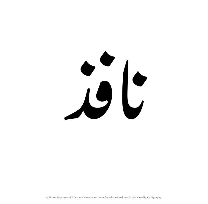 The Muslim name word Nafiz written in Nastaliq calligraphic script