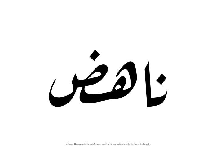 The Muslim name Nahiz written in Ruqaa calligraphic script