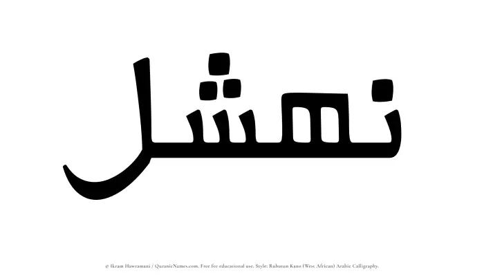The Muslim name Nahshal written in Rubutun Kano calligraphic script