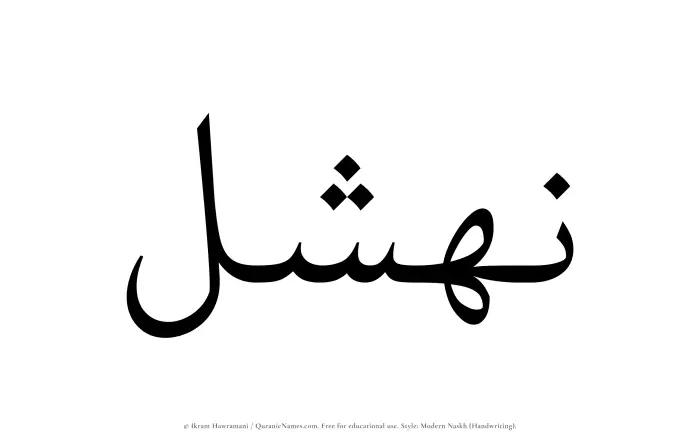 The Muslim name Nahshal written in naskh script