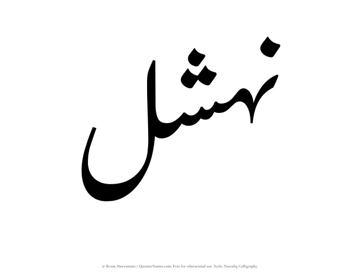 The Muslim name word Nahshal written in Nastaliq calligraphic script