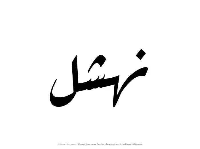 The Muslim name Nahshal written in Ruqaa calligraphic script