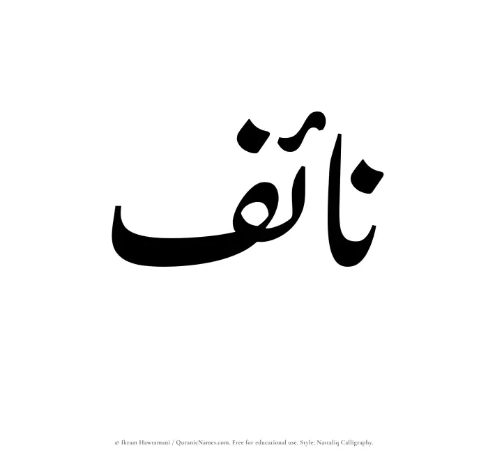 The Muslim name word Naif written in Nastaliq calligraphic script