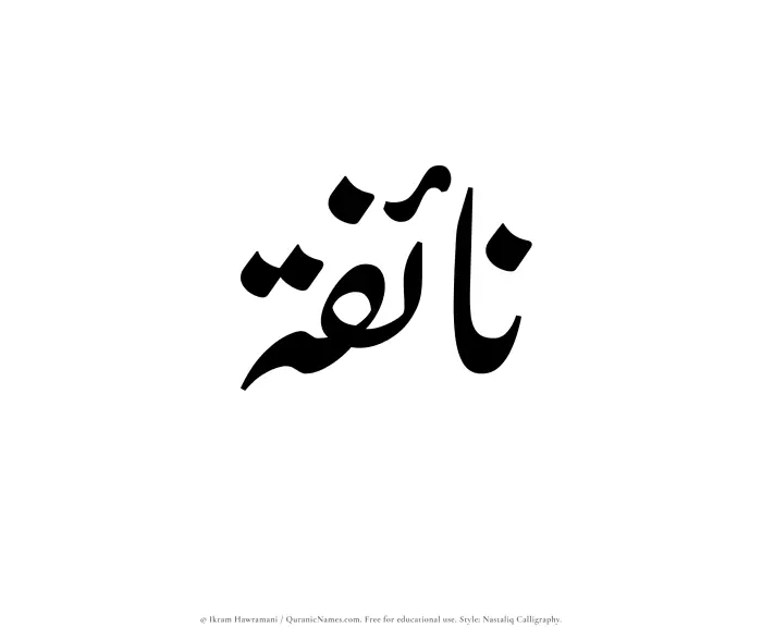 The Muslim name word Naifah written in Nastaliq calligraphic script