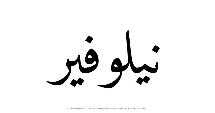 The Muslim name Nailawfir written in Quranic naskh script