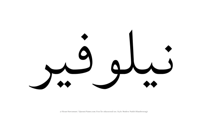 The Muslim name Nailawfir written in naskh script