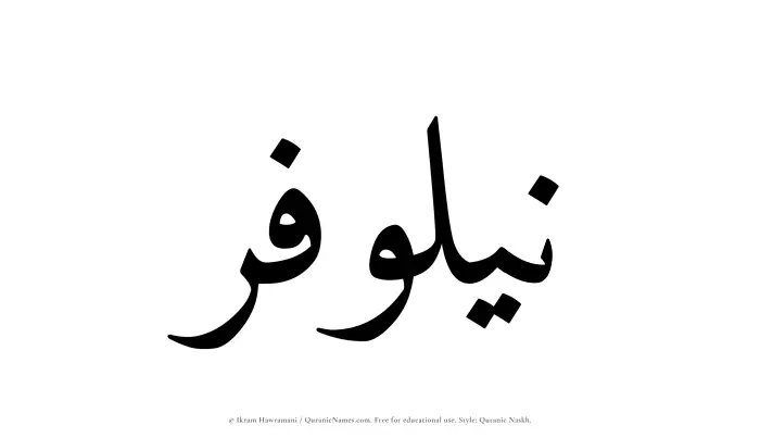 The Muslim name Nailufar written in Quranic naskh script
