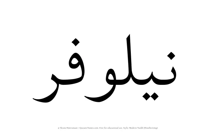 The Muslim name Nailufar written in naskh script