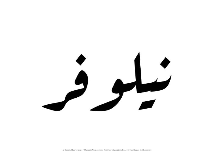The Muslim name Nailufar written in Ruqaa calligraphic script