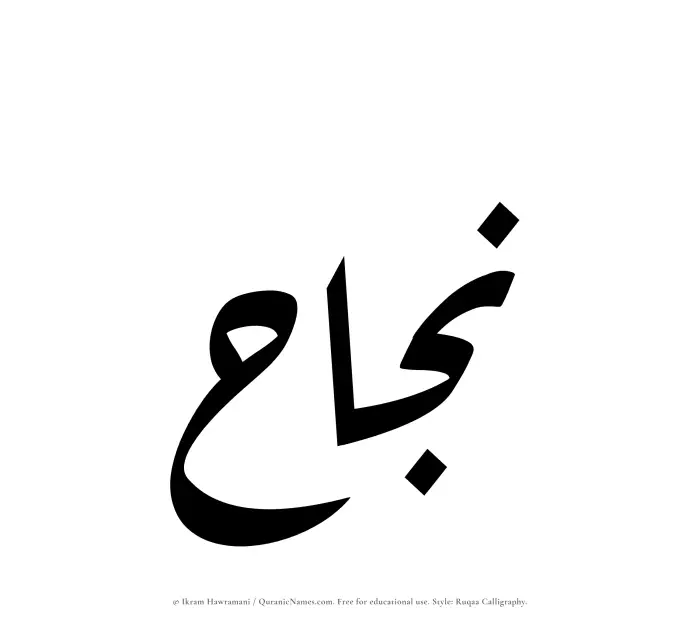 The Muslim name Najah written in Ruqaa calligraphic script