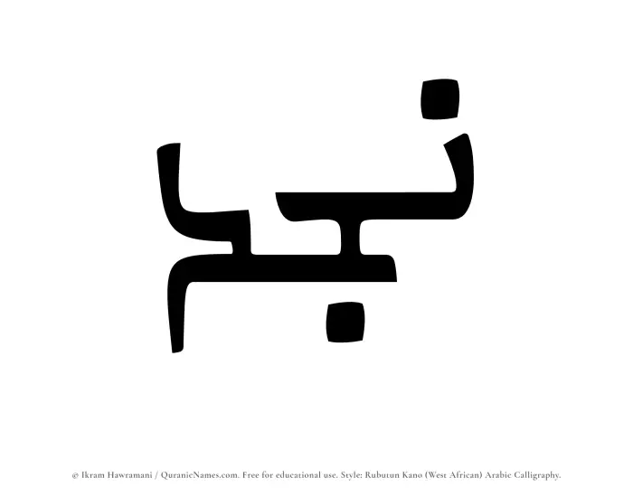 The Muslim name Najd written in Rubutun Kano calligraphic script