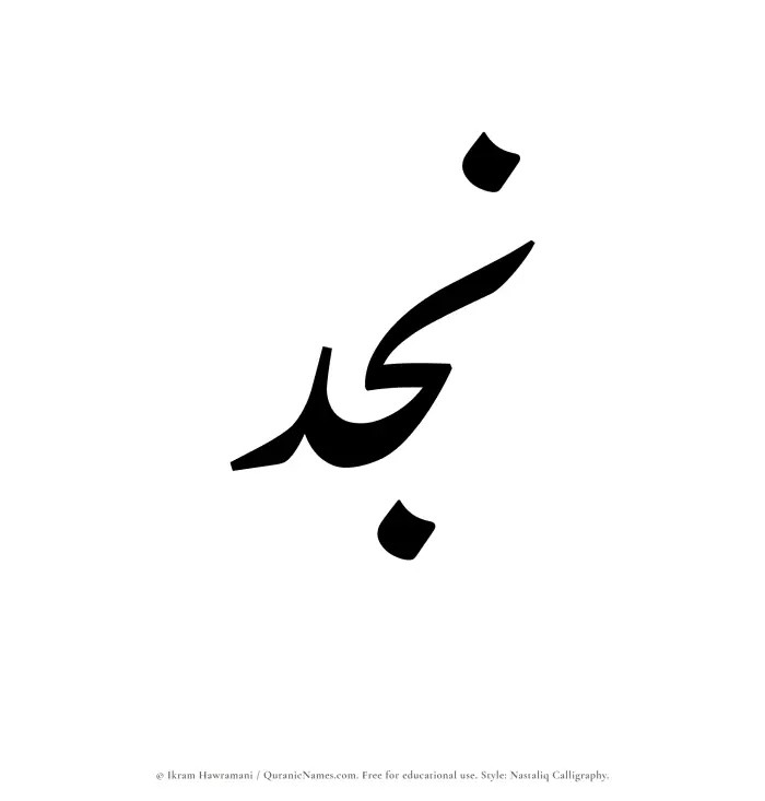 The Muslim name word Najd written in Nastaliq calligraphic script