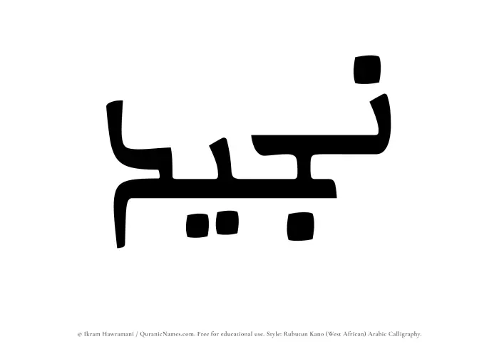 The Muslim name Najeed written in Rubutun Kano calligraphic script