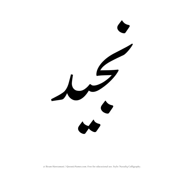 The Muslim name word Najeed written in Nastaliq calligraphic script