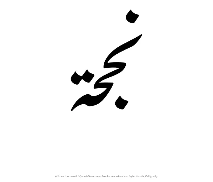 The Muslim name word Najhah written in Nastaliq calligraphic script