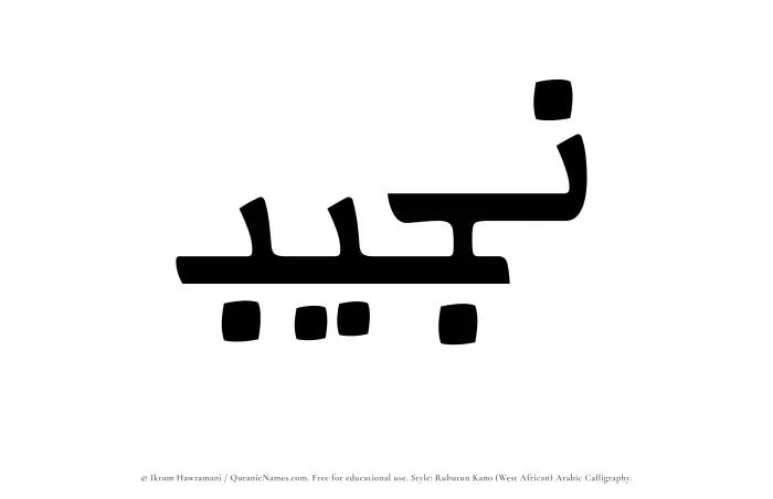 The Muslim name Najib written in Rubutun Kano calligraphic script