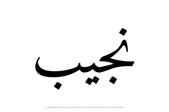 The Muslim name Najib written in Quranic naskh script