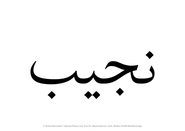 The Muslim name Najib written in naskh script