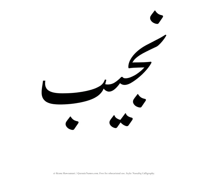 The Muslim name word Najib written in Nastaliq calligraphic script