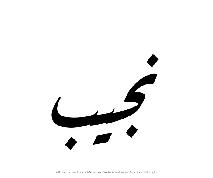 The Muslim name Najib written in Ruqaa calligraphic script