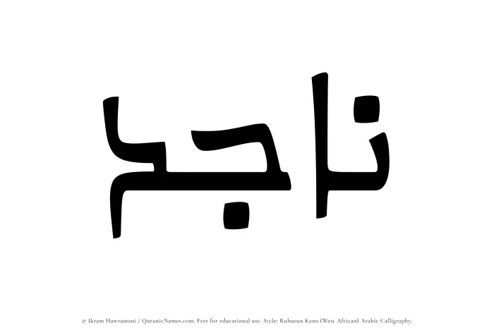 The Muslim name Najid written in Rubutun Kano calligraphic script