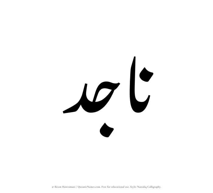 The Muslim name word Najid written in Nastaliq calligraphic script