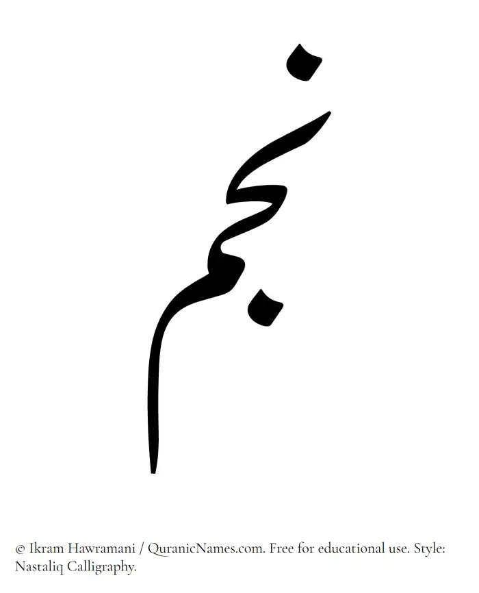 The Muslim name word Najm written in Nastaliq calligraphic script