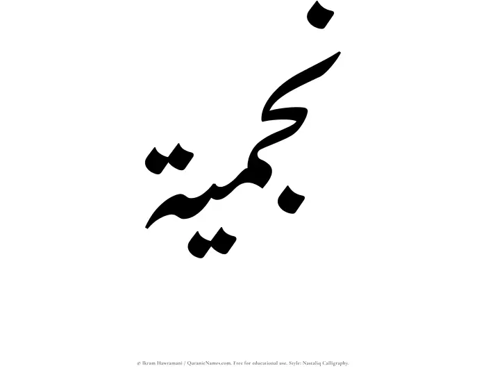 The Muslim name word Najmiyyah written in Nastaliq calligraphic script