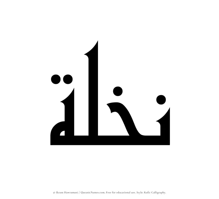 The Muslim name Nakhlah written in Kufi/Kufic calligraphic script