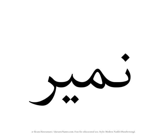 The Muslim name Nameer written in naskh script