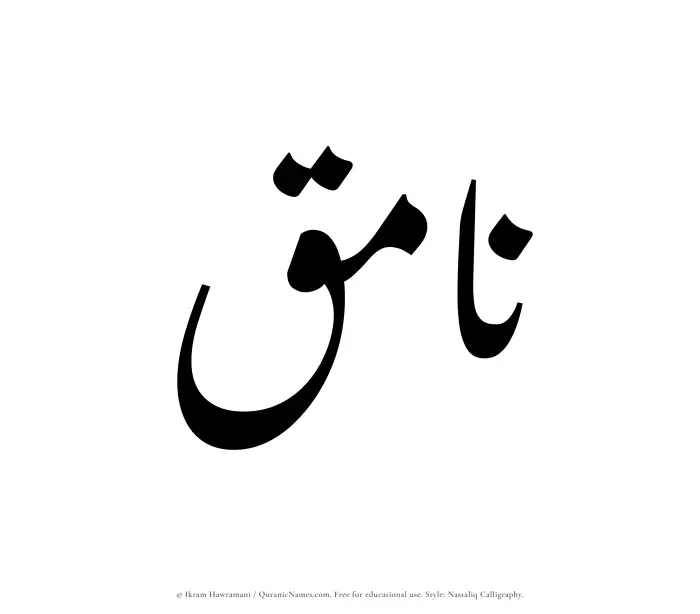 The Muslim name word Namiq written in Nastaliq calligraphic script
