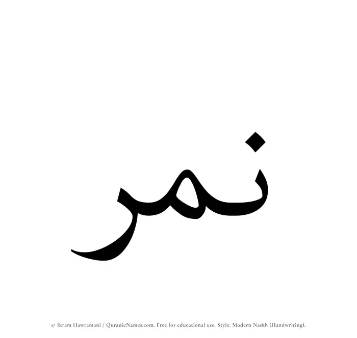 The Muslim name Namir written in naskh script