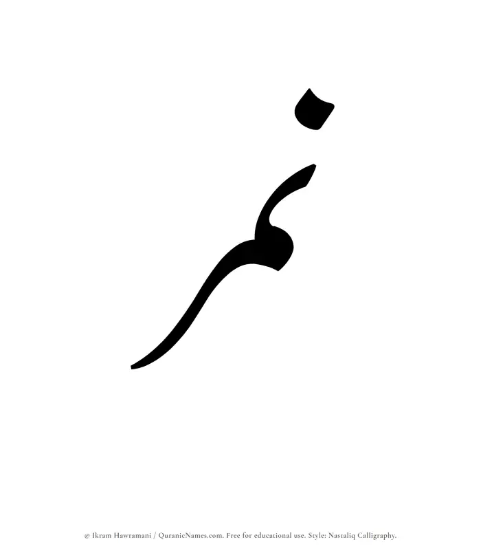 The Muslim name word Namir written in Nastaliq calligraphic script