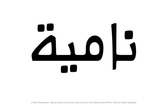The Muslim name Namiyah written in Rubutun Kano calligraphic script