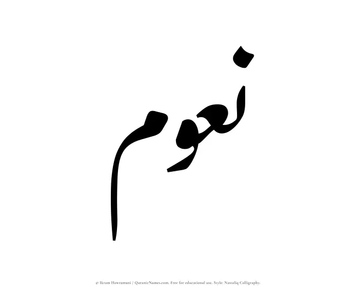 The Muslim name word Naoum written in Nastaliq calligraphic script