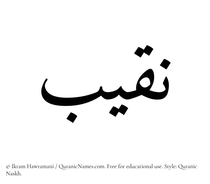 The Muslim name Naqeeb written in Quranic naskh script