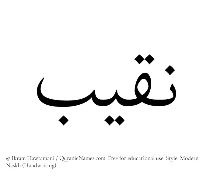 The Muslim name Naqeeb written in naskh script