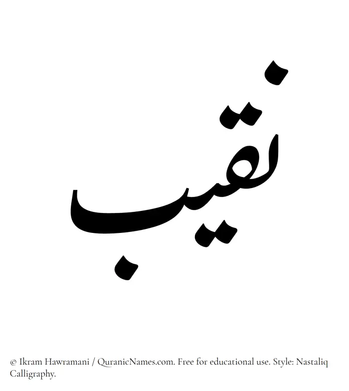 The Muslim name word Naqeeb written in Nastaliq calligraphic script