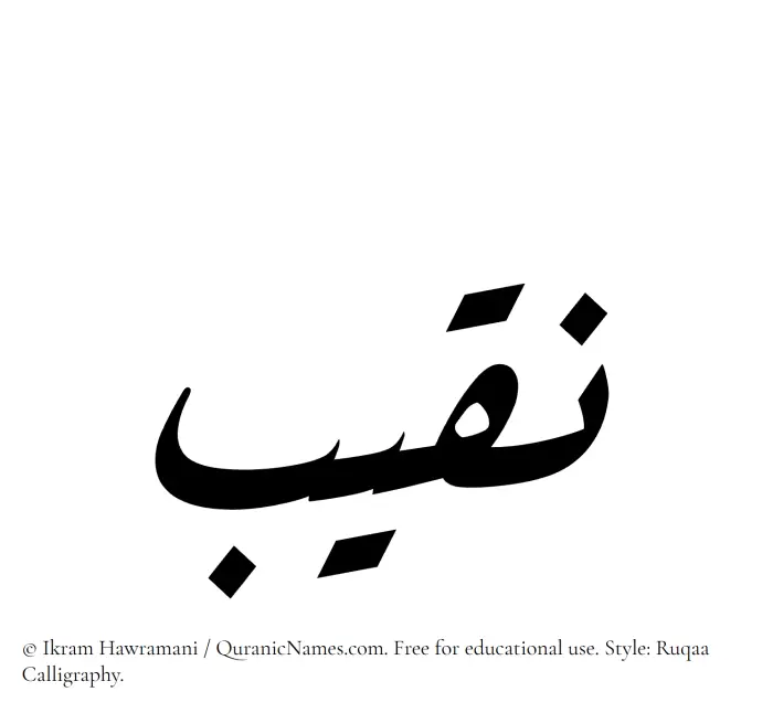 The Muslim name Naqeeb written in Ruqaa calligraphic script