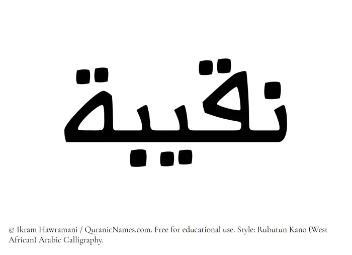 The Muslim name Naqeeba written in Rubutun Kano calligraphic script