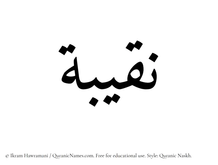 The Muslim name Naqeeba written in Quranic naskh script