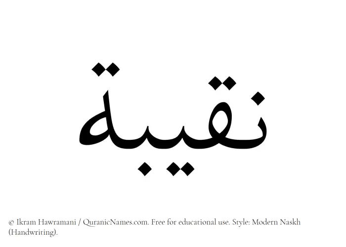 The Muslim name Naqeeba written in naskh script