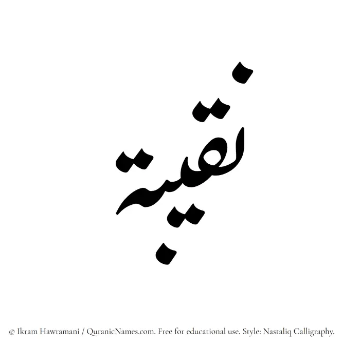 The Muslim name word Naqeeba written in Nastaliq calligraphic script