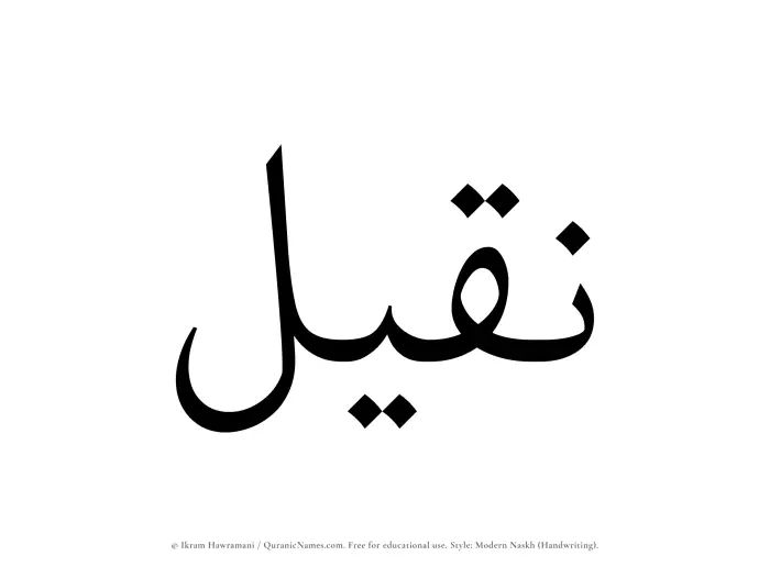 The Muslim name Naqeel written in naskh script