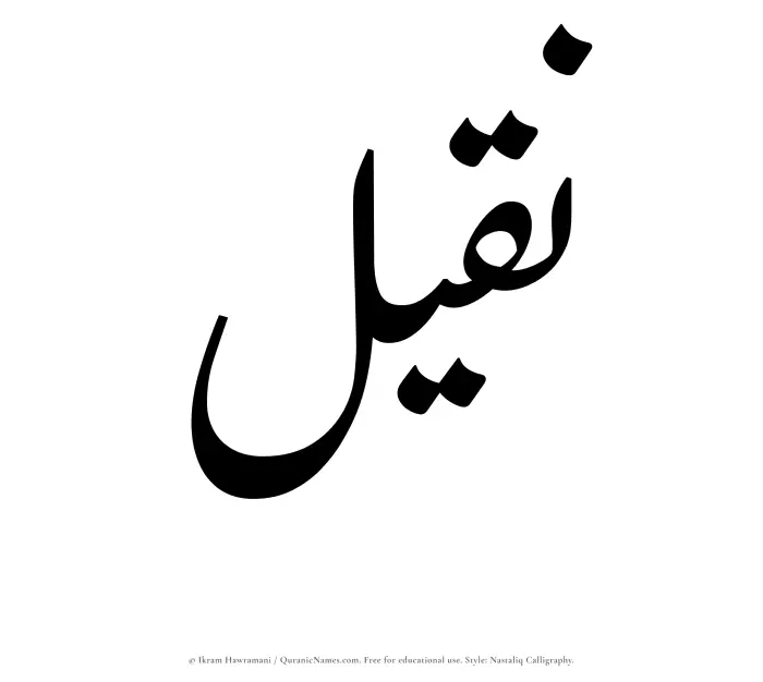 The Muslim name word Naqeel written in Nastaliq calligraphic script