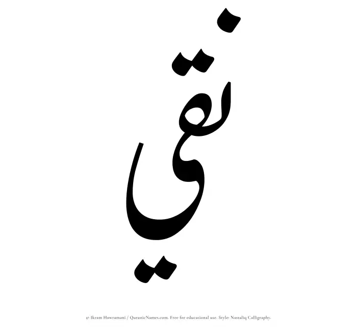 The Muslim name word Naqi written in Nastaliq calligraphic script
